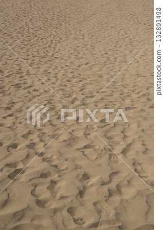 鳥取沙丘,一片擁有美麗風蝕波紋的沙灘 鳥取沙丘,一片擁有美麗風蝕波紋的沙灘 132891498