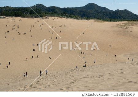 Tottori Sand Dunes, a sandy beach with beautiful wind ripples Tottori Sand Dunes, a sandy beach with beautiful wind ripples 132891509