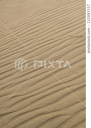 鳥取沙丘,一片擁有美麗風蝕波紋的沙灘 鳥取沙丘,一片擁有美麗風蝕波紋的沙灘 132891517