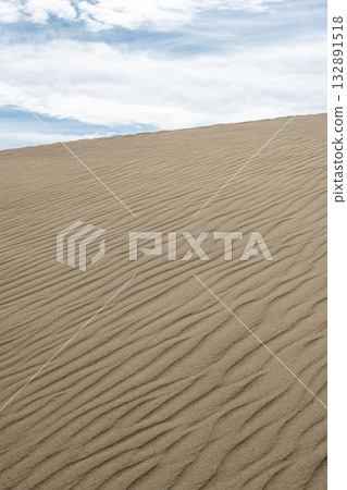 鳥取沙丘,一片擁有美麗風蝕波紋的沙灘 鳥取沙丘,一片擁有美麗風蝕波紋的沙灘 132891518