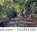 陰暗的道路 132891542