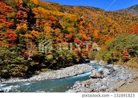 The source of the Oi River and autumn foliage The source of the Oi River and autumn foliage 132891823