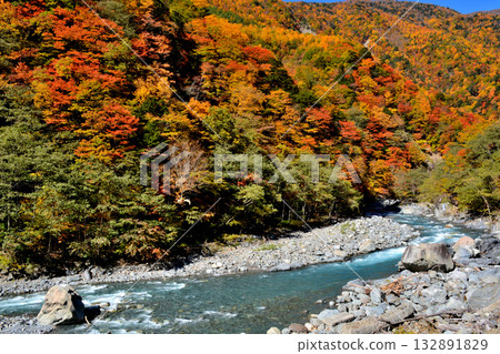 The source of the Oi River and autumn foliage 132891829
