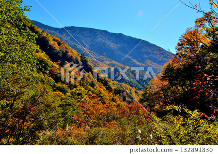 The source of the Oi River and autumn foliage 132891830
