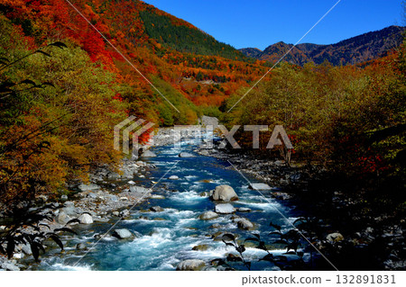 The source of the Oi River and autumn foliage The source of the Oi River and autumn foliage 132891831
