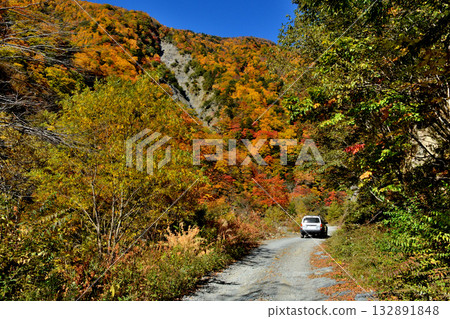 The source of the Oi River and autumn foliage The source of the Oi River and autumn foliage 132891848