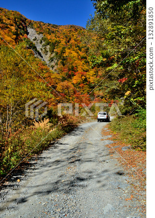 The source of the Oi River and autumn foliage The source of the Oi River and autumn foliage 132891850