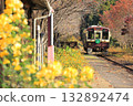 Watarase Keikoku Railway "Kamikamibai Station and train in early November" surrounded by flowers and autumn leaves 132892474