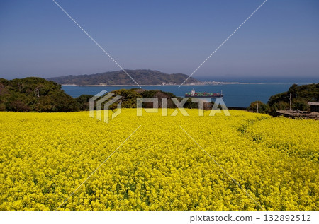 能古之島公園 - 油菜花全景花壇與海之中道 能古之島公園 - 油菜花全景花壇與海之中道 132892512