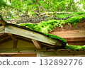 moss-covered roof 132892776