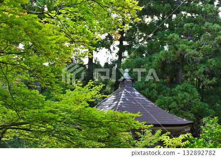 The roof of the gazebo is covered in greenery 132892782