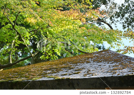 Azumaya wrapped in autumn leaves 132892784