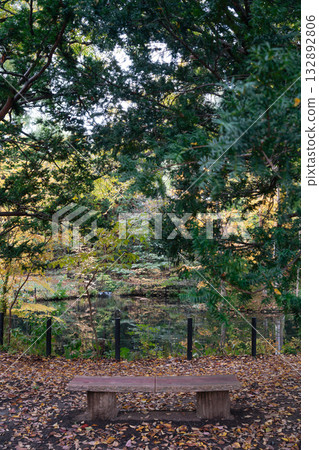 Scenic Autumn Landscape of Maruyama Park in Sapporo, Hokkaido, Japan Scenic Autumn Landscape of Maruyama Park in Sapporo, Hokkaido, Japan 132892806