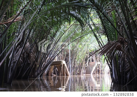 湄公河支流的景色,周圍環繞著綠色的棕櫚樹。 湄公河支流的景色,周圍環繞著綠色的棕櫚樹。 132892838