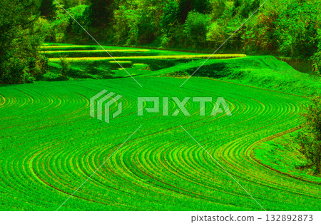 Green composition Green composition 132892873
