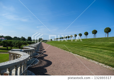 A long stone walkway with a row of trees on either side A long stone walkway with a row of trees on either side 132893317