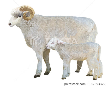 公羊和羔羊 132893322