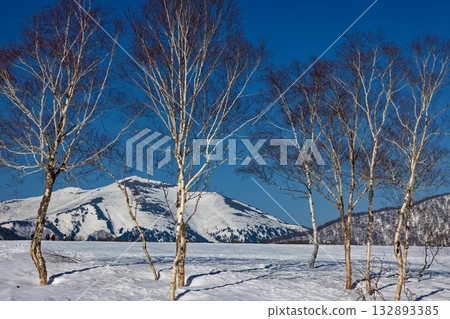 Mount Shibutsu seen from Ozegahara during the snowy season 132893385