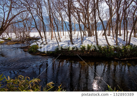 Mt. Hiuchigatake seen from the forest of Ozegahara after the snow melts Mt. Hiuchigatake seen from the forest of Ozegahara after the snow melts 132893389