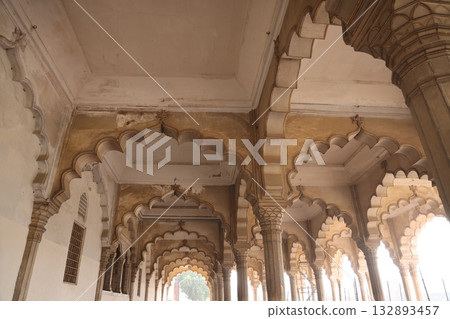 [India] Agra Fort 132893457