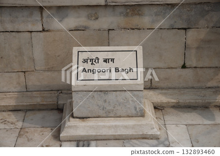 [India] Agra Fort 132893460
