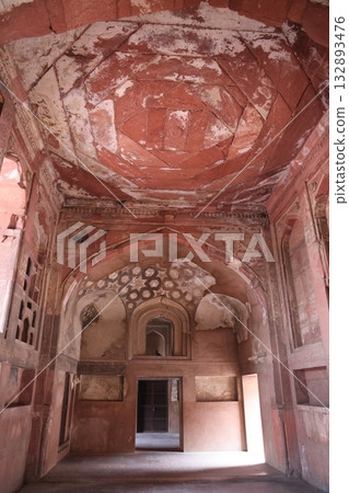 [India] Agra Fort 132893476