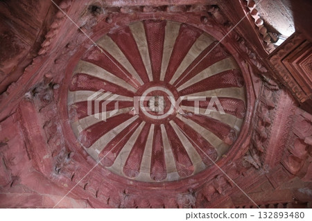 [India] Agra Fort 132893480