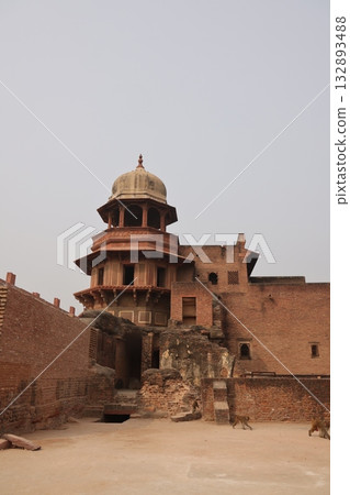 [印度] 阿格拉堡 132893488