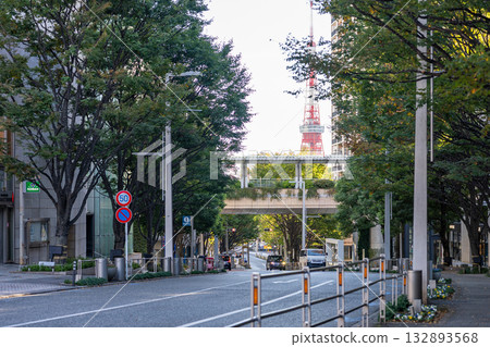 六本木欅坂通 六本木欅坂通 132893568