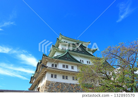 Autumn scenery of Nagoya Castle, Nagoya City, Aichi Prefecture Autumn scenery of Nagoya Castle, Nagoya City, Aichi Prefecture 132893570