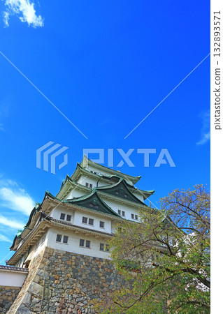 愛知縣名古屋市名古屋城的秋景 愛知縣名古屋市名古屋城的秋景 132893571