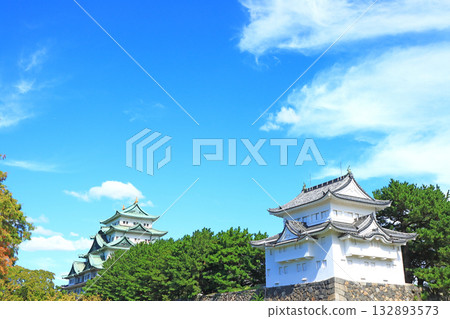Autumn scenery of Nagoya Castle, Nagoya City, Aichi Prefecture 132893573