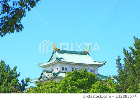 Autumn scenery of Nagoya Castle, Nagoya City, Aichi Prefecture 132893574