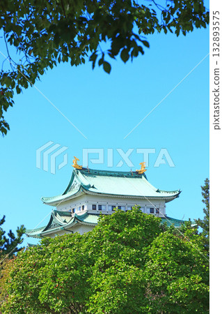 愛知縣名古屋市名古屋城的秋景 132893575