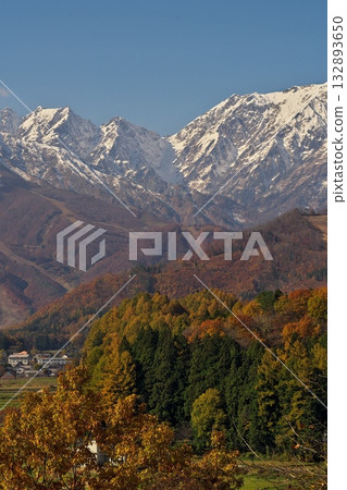 Three-tiered autumn foliage in Hakuba, Nagano Three-tiered autumn foliage in Hakuba, Nagano 132893650