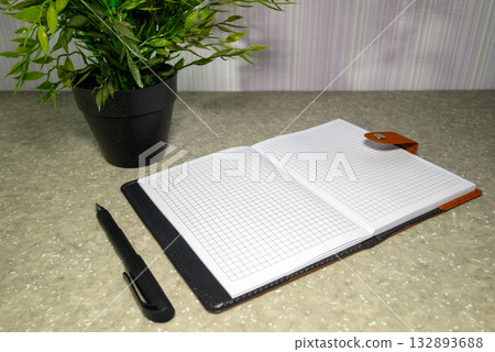 open checkered notebook, pen and plant on the work desk open checkered notebook, pen and plant on the work desk 132893688