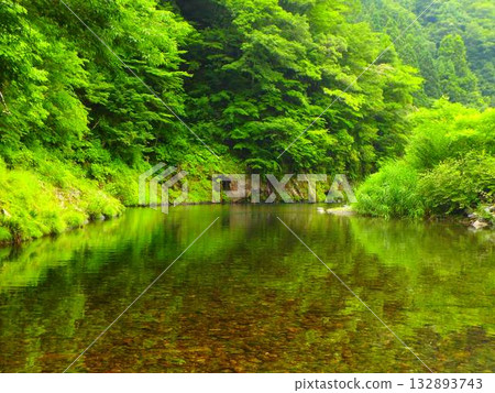 初夏時節，尼奧河清澈平靜的河水 132893743