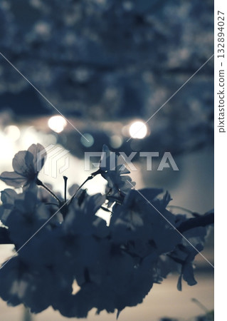 Cherry blossoms at night 132894027