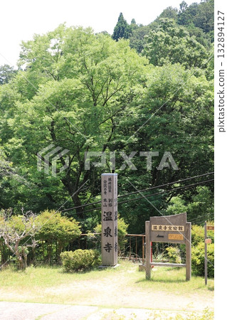 溫泉寺的石碑和茂密的綠蔭 132894127