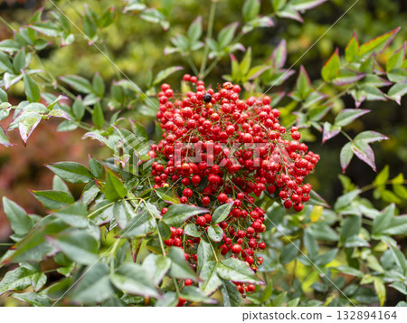 Southern sky wet in the rain 132894164