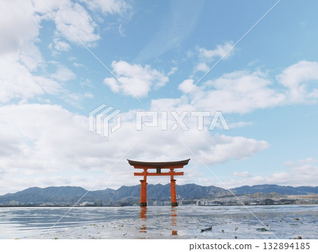 Torii that floats in the sea 132894185