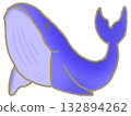 swimming whale 132894262