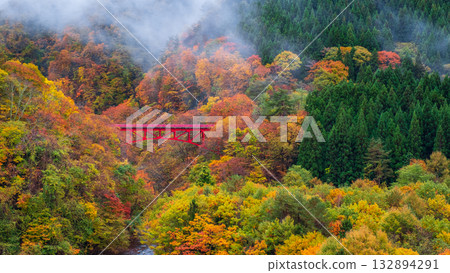 松川溪谷（秋季） 高山村 132894291