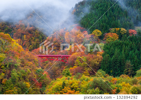 松川溪谷(秋季) 高山村 松川溪谷(秋季) 高山村 132894292