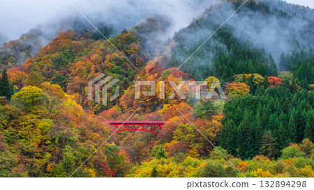 Matsukawa Valley (Autumn) Takayama Village 132894298