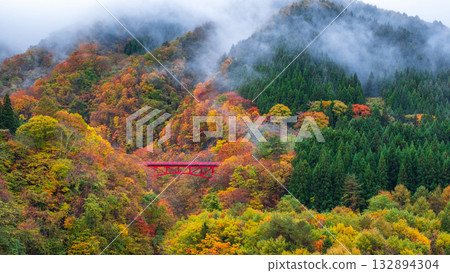 松川溪谷(秋季) 高山村 松川溪谷(秋季) 高山村 132894304