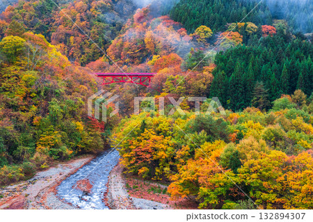 松川溪谷（秋季） 高山村 132894307