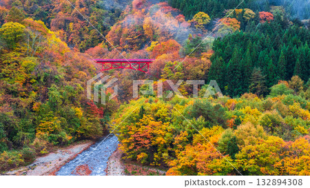 松川溪谷（秋季） 高山村 132894308