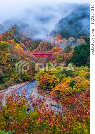 Matsukawa Valley (Autumn) Takayama Village 132894316
