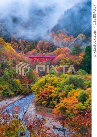 松川溪谷(秋季) 高山村 松川溪谷(秋季) 高山村 132894317
